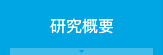 研究概要