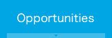Opportunities